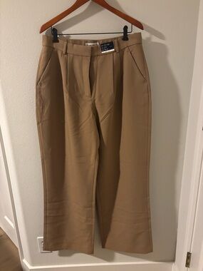 Abercrombie & Fitch Tan Wide-Leg Pleated Trousers